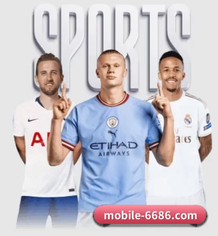 6686体育 APP